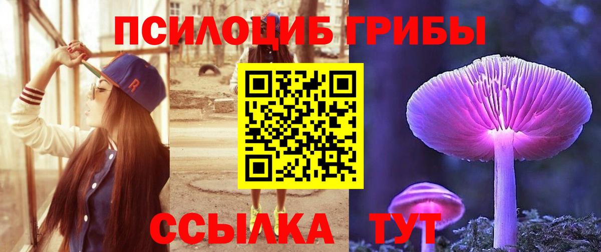 Псилоцибиновые грибы Cubensis  Галлюциногенные грибы Psilocybine cubensis  Вход с VPN  Светлоград 