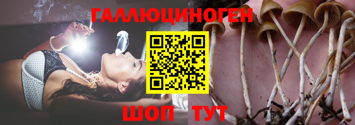 Галлюциногенные грибы Magic Shrooms Светлоград